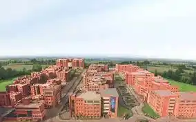CII School Of Logistics, Amity University, Mumbai Banner
